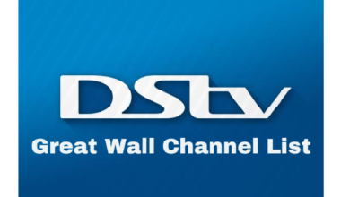 DStv Great Wall standalone